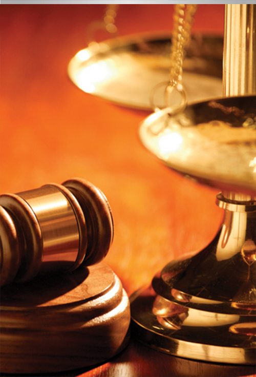 Litigation Support